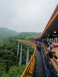 《火車》深圳森林小火車遊覽