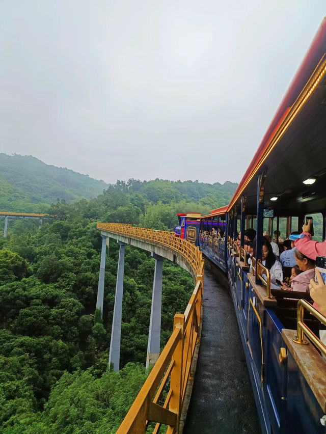 《火車》深圳森林小火車遊覽