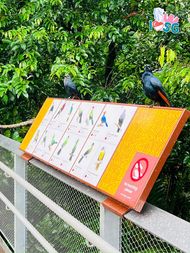 🇸🇬 Professional Photographer