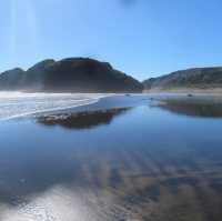 Auckland’s West Coast Beaches: Piha and Muriwai