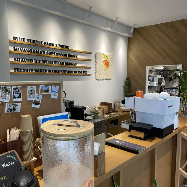 【宮古島】友達に教えたくなるおしゃれカフェ☕️🌺