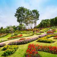 พาลุยที่เที่ยวเชียงรายกับธรรมชาติและวัฒนธรรม