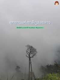 ภูสอยดาวครั้งแรก ! 2 วัน 1 คืน 