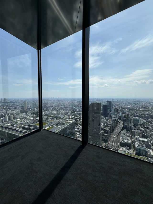 東京遊記の東京市
