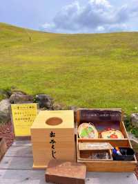 【静岡】絶景チルスポットで癒される