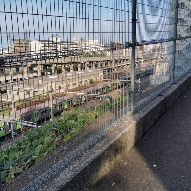 【君の名は＆天気の子】東京で映画の聖地を巡る旅