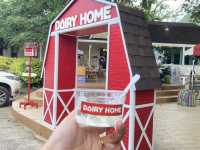 DAIRY HOME กรีกโยเกิร์ตร้านโปรด😍