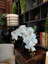 โรงแรม Amari Don Muang Airport Bangkok