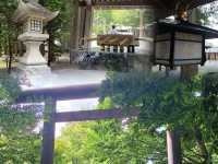 北海道神宮與伏見稻荷神社x綠色森林與紅色鳥居
