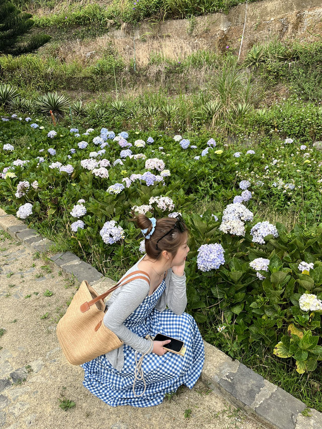 🇻🇳峴港旅行·巴拿山佛手金橋