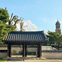한번 쯤은 꼭 가봐야할 국내 야외데이트 명소 