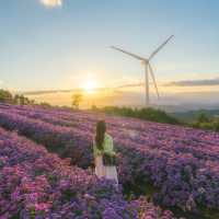 거창 감악산 사람 많은 이유💜