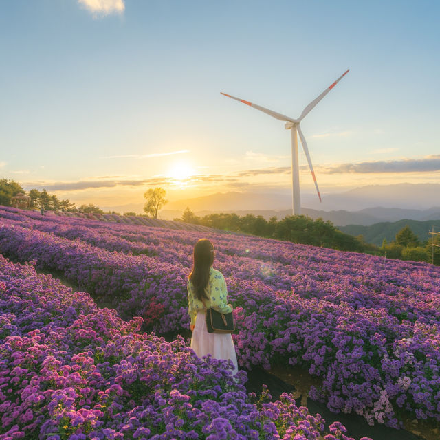 거창 감악산 사람 많은 이유💜
