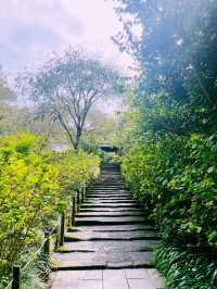 【神奈川県/北鎌倉　秋の明月院も趣がある庭園や風景を堪能できてオススメ！】
