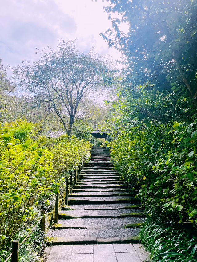 【神奈川県/北鎌倉　秋の明月院も趣がある庭園や風景を堪能できてオススメ！】