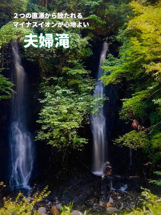We recommend you come here to refresh yourself❗️Easy access to the riverside✨Inhaling negative ions will activate your body's reset button without fail