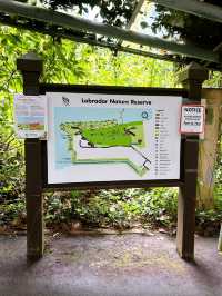 Hiking at Labrador Secret Tunnel Trail 