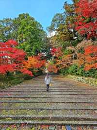【京都/紅葉スポット】実は花手水が美しい💕めちゃくちゃ人気の人混み必須なお寺🧘‍♀️🍂