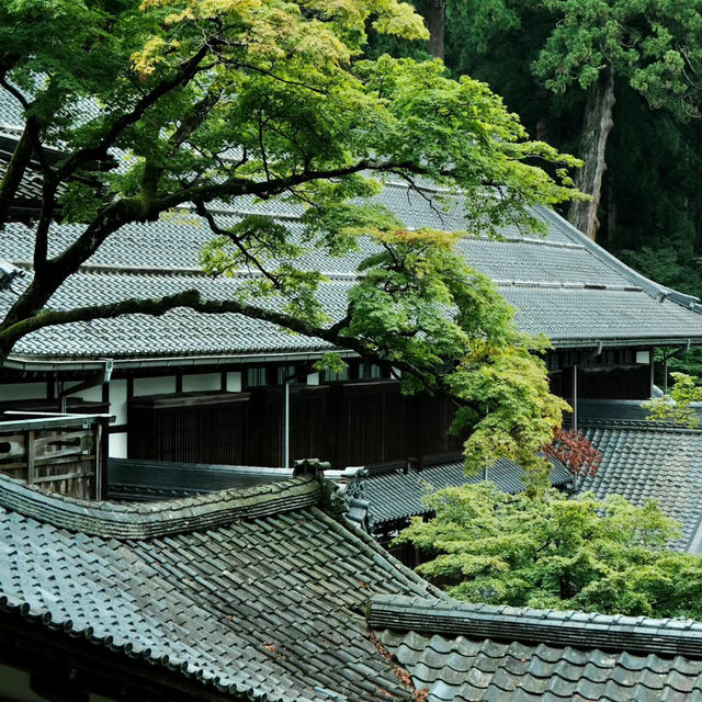 法雲禪寺：日式靜謐 🍃🧘‍♂️