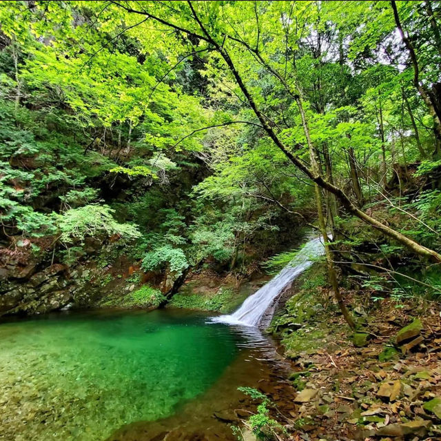 二丿岳：風光明媚⛰️🌿