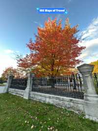 🇨🇦 Autumn at Rideau Hall