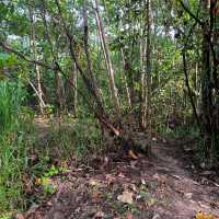 **Hiking at Bukit Kepayang: A Scenic Escape**