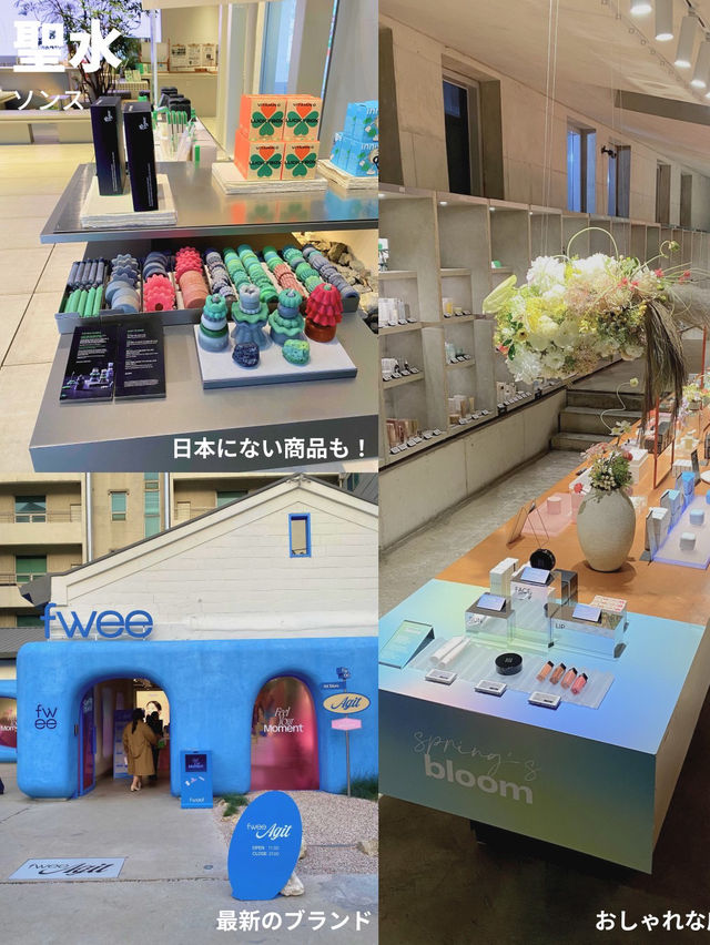 【どこから行く？👀✨】ソウルをエリア別に紹介🙌🏻