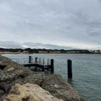 Hillarys Ferry Dock：前往羅特尼斯島的起點 🛳️🐳
