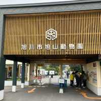 旭川景點｜亞洲觀賞極地動物最近的動物園—旭川動物園