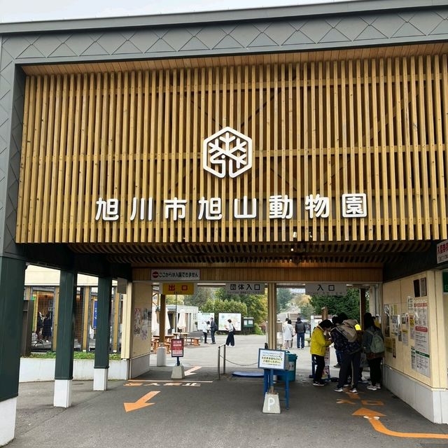 旭川景點｜亞洲觀賞極地動物最近的動物園—旭川動物園