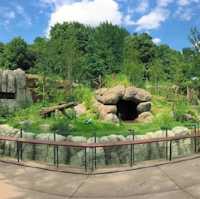 動物園系列（一）～上野動物園