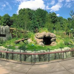 動物園系列（一）～上野動物園
