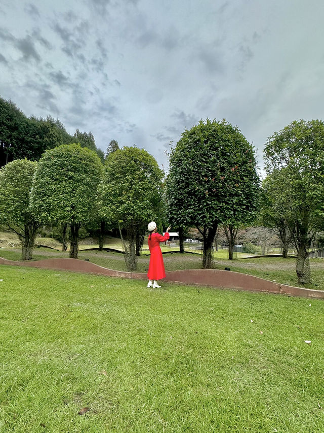 芸術の秋🍁にピッタリなアート空間🎨🌳🍃
