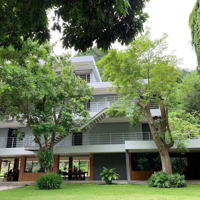 ที่พักเขาใหญ่ ธรรมชาติโอบล้อม 🌳🌿🍃