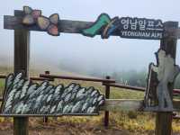 가을하면 등산이 가고싶더라구요!