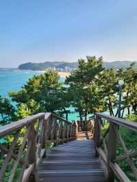 산토리니 감성 즐기는 삼척 데이트코스