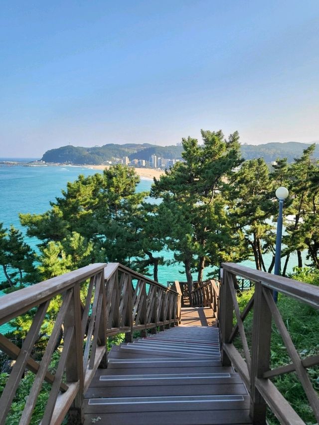 산토리니 감성 즐기는 삼척 데이트코스