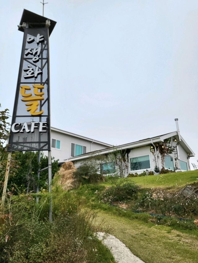 가을감성 가득했던 강화도 정원카페