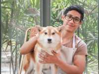 รีวิว Cafe de Chi คาเฟ่สำหรับน้องหมา 🐶 