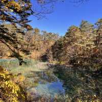 紅葉時期の五色沼