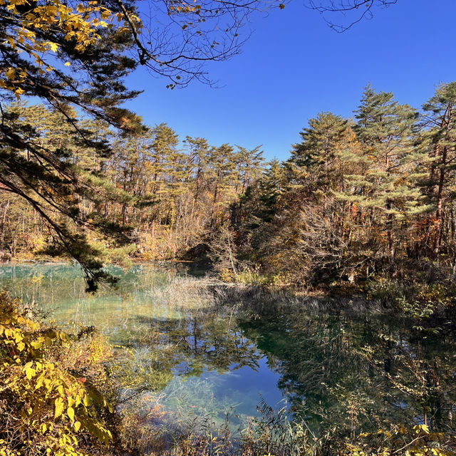 紅葉時期の五色沼