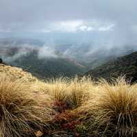 【NZ】トンガリロに挑戦🏔️