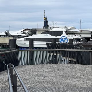 【NZ】クルーズ船でデポンポートへ🚢