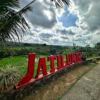 Jatiluwih Rice Terraces: A UNESCO World Heritage Gem
