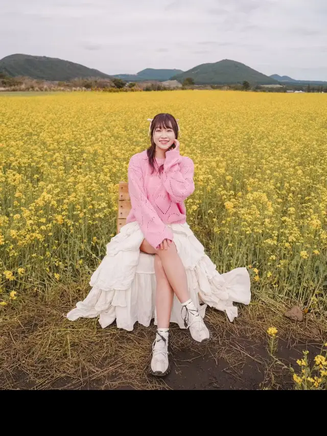 濟州島🇰🇷無邊際油菜花海🌼