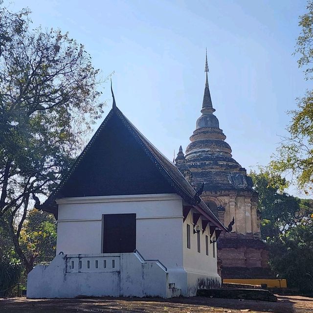 วัดเจ็ดยอด วัดพระอารามหลวง เชียงใหม่