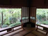 🇯🇵日本【旧朝倉家邸宅】