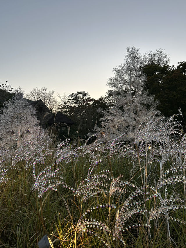 箱根✨ガラスの森美術館✨