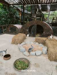 หมู่บ้านช้างพัทยา กิจกรรมแน่น ถูกใจทุกวัยแน่นอน🐘