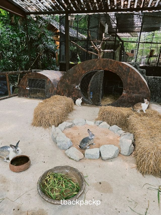หมู่บ้านช้างพัทยา กิจกรรมแน่น ถูกใจทุกวัยแน่นอน🐘